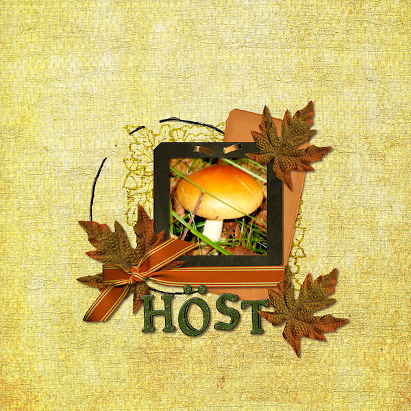 h_st