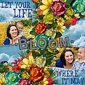 Bloom_where_your_planted.jpg
