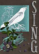 bird_atc_jpg_small.jpg