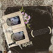 meetspot.jpg