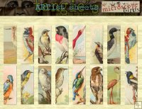 ARTist Micro-Slides [birds]